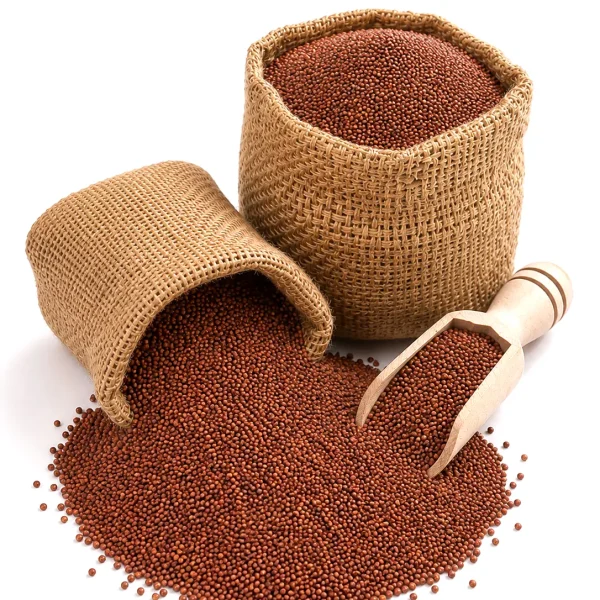 Organic Ragi (Finger Millet)